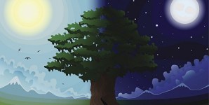 Ritmi circadiani: le ferite notturne guariscono più lentamente